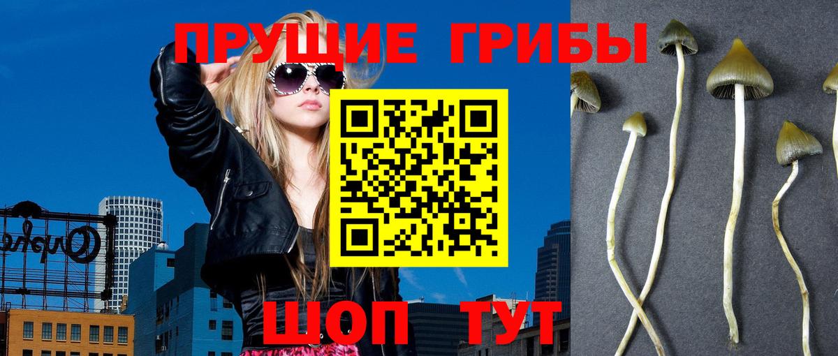 Ярцево  Галлюциногенные грибы мицелий  Вход с VPN 