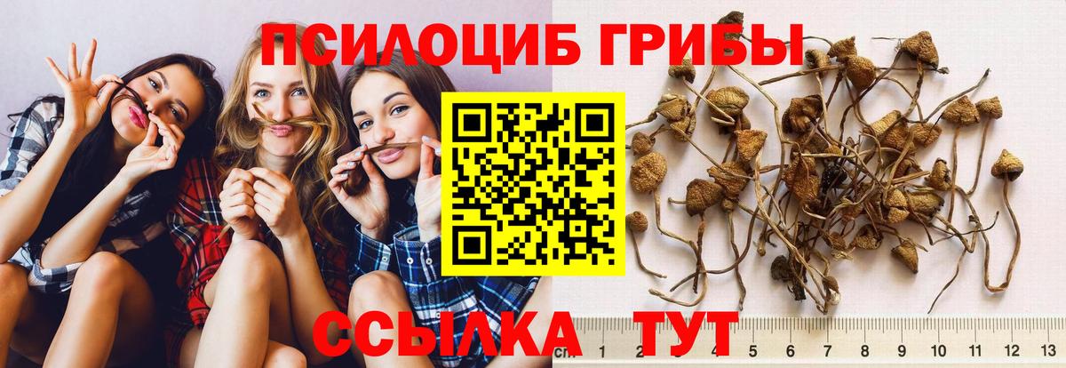 Галлюциногенные грибы прущие грибы Ярцево